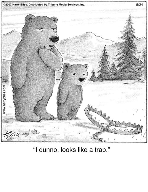 "I dunno, looks like a trap."