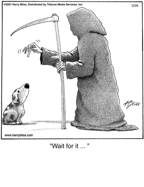 "Wait for it ..."