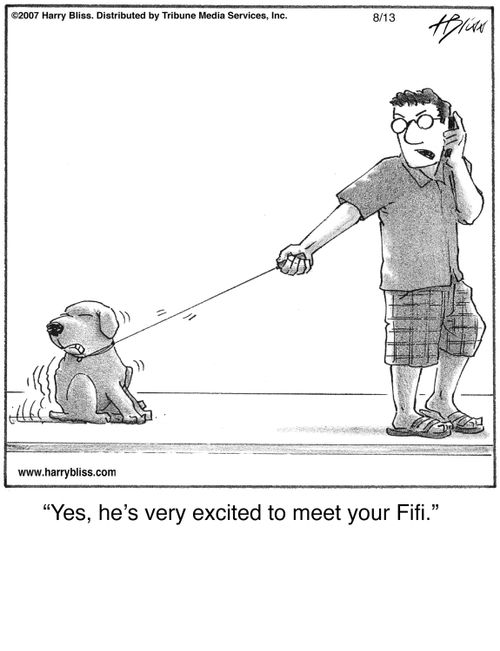 "Yes, he’s very excited to meet your Fifi."