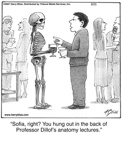 "Sofia, right? You hung out in the back of Professor Dillof’s anatomy lectures."