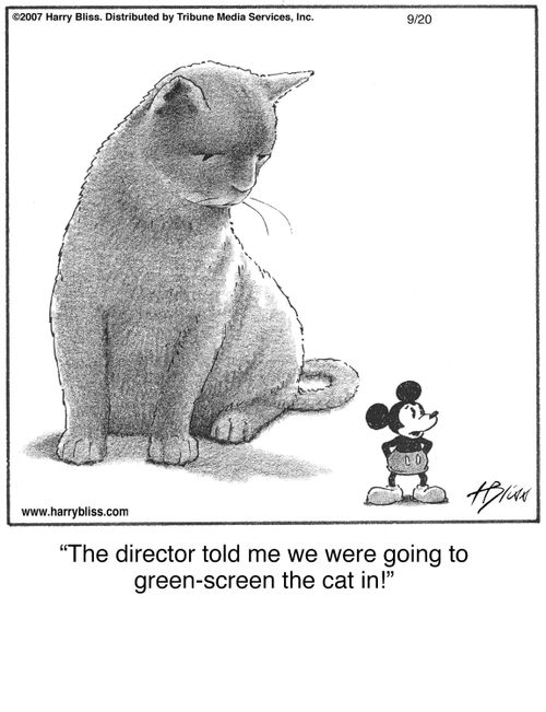 "The director told me we were going to green-screen the cat in!"