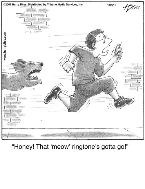 "Honey! That 'meow' ringtone’s gotta go!"