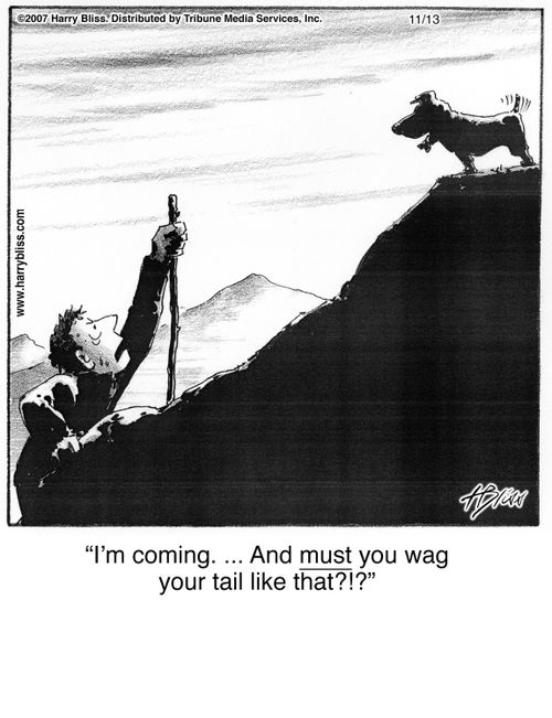 "I'm coming. ... And must you wag your tail like that?!?"