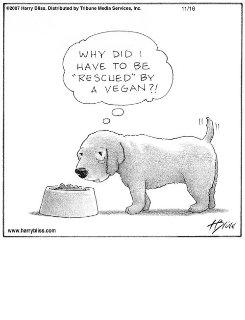 "Why did I have to be 'rescued' by a vegan?!"