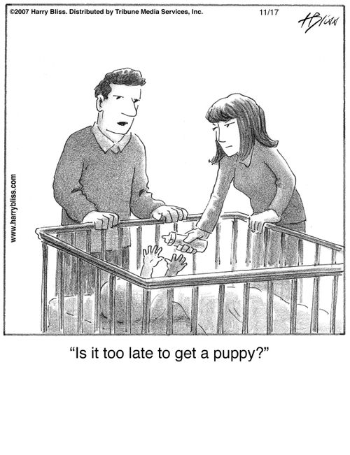 "Is it too late to get a puppy?"