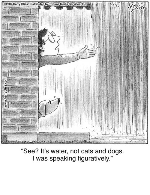 "See? It's water, not cats and dogs. I was speaking figuratively."