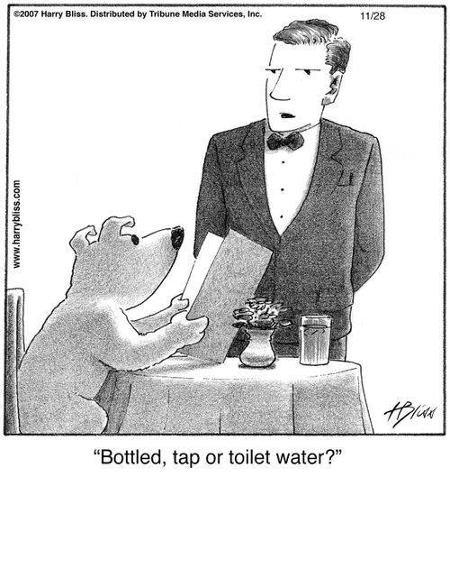 "Bottled, tap or toilet water?"