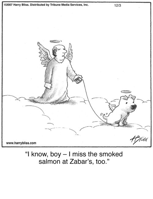 "I know, boy—I miss the smoked salmon at Zabar's, too."