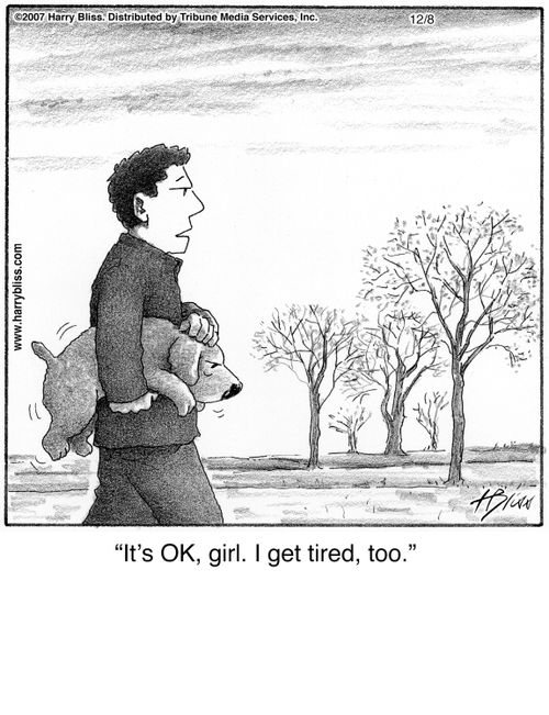 "It's OK, girl. I get tired, too."
