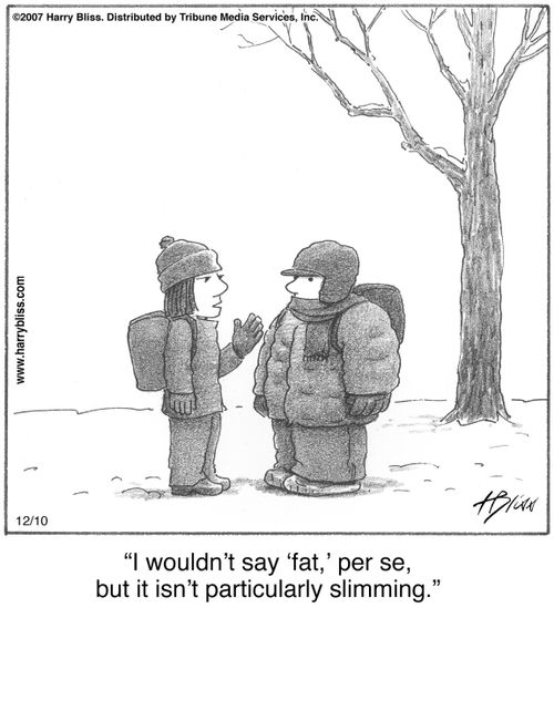 "I wouldn’t say ‘fat,’ per se, but it isn’t particularly slimming."