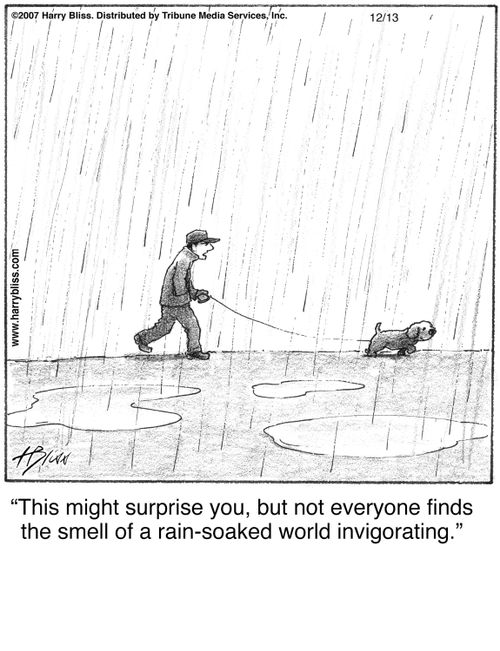 "This might surprise you, but not everyone finds the smell of a rain-soaked world invigorating."