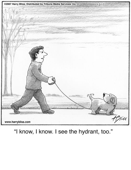 "I know, I know. I see the hydrant, too."