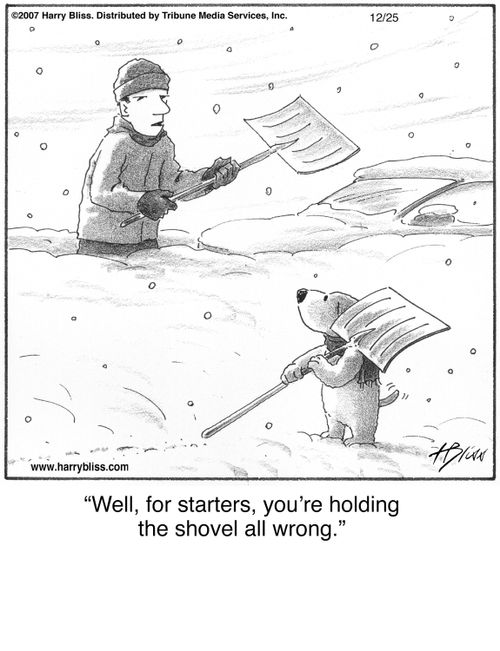 "Well, for starters, you’re holding the shovel all wrong."