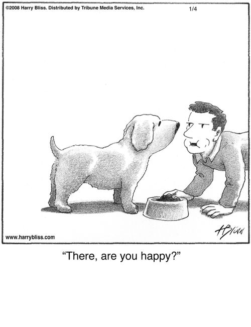 "There, are you happy?"