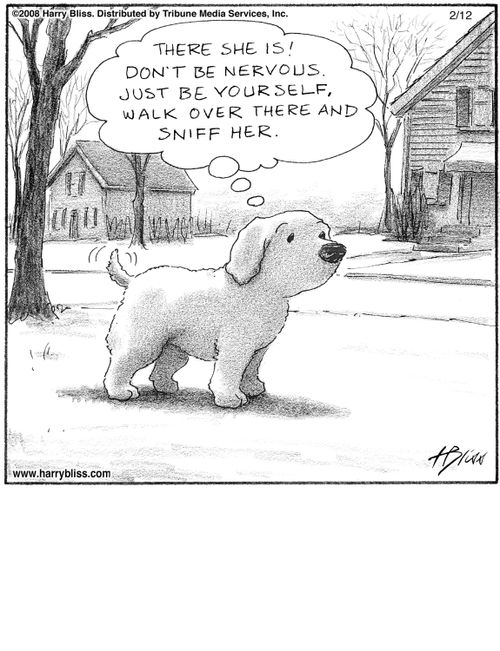 "There she is! Don’t be nervous. Just be yourself, walk over there and sniff her."