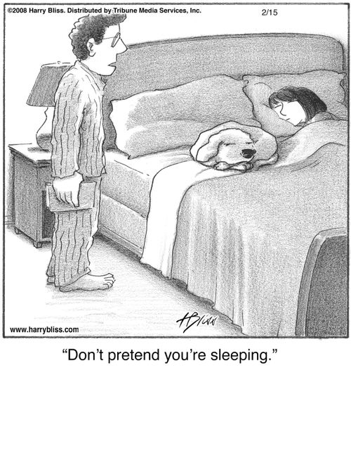 "Don't pretend you're sleeping."