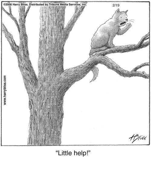 "Little help!"