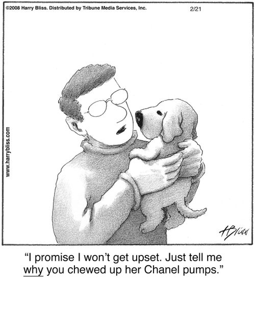 "I promise I won’t get upset. Just tell me why you chewed up her Chanel pumps."