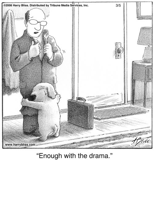 "Enough with the drama."
