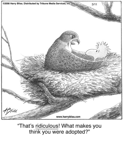 "That’s ridiculous! What makes you think you were adopted?"