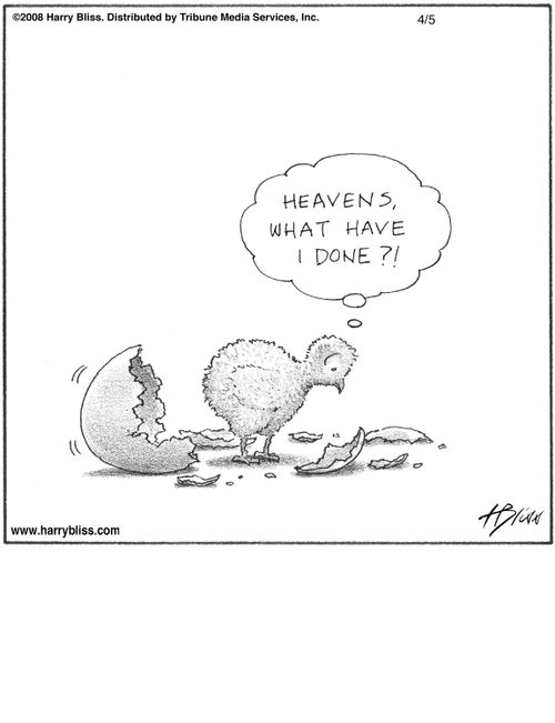 "Heavens, what have I done?!"