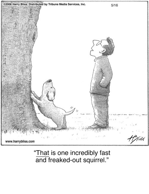 "That is one incredibly fast and freaked-out squirrel."
