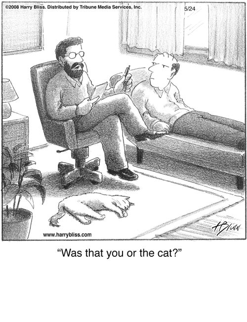 "Was that you or the cat?"