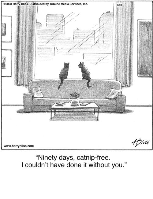 "Ninety days, catnip-free. I couldn't have done it without you."