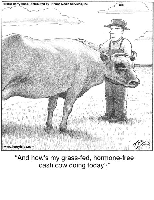 "And how’s my grass-fed, hormone-free cash cow doing today?"
