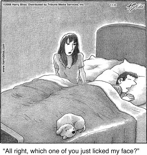 "All right, which one of you just licked my face?"