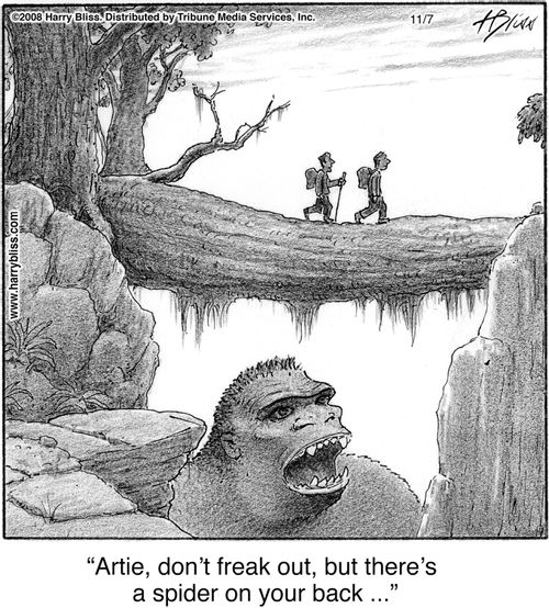 "Artie, don’t freak out, but there’s a spider on your back ..."
