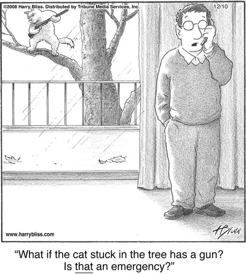 "What if the cat stuck in the tree has a gun? Is that an emergency?"