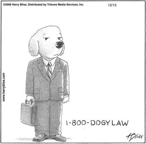 "I-800-DOGYLAW"