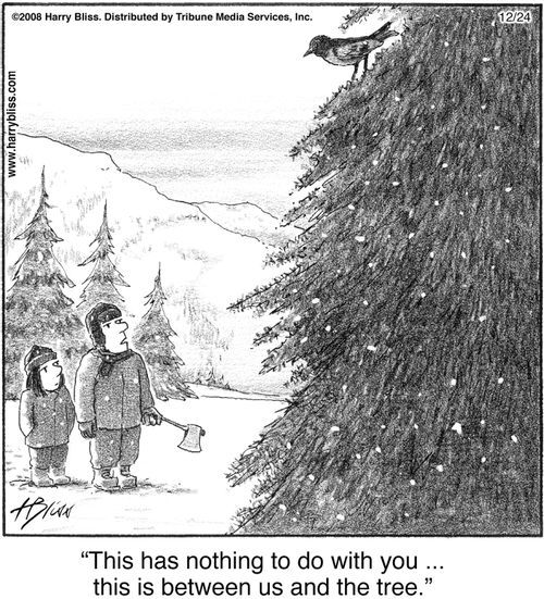 "This has nothing to do with you ... this is between us and the tree."