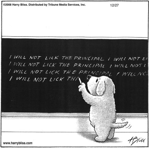 "I will not lick the principal, I will not lick the principal, I will not lick the principal, I will not lick the principal, I will not lick the principal."