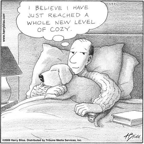"I believe I have just reached a whole new level of cozy."