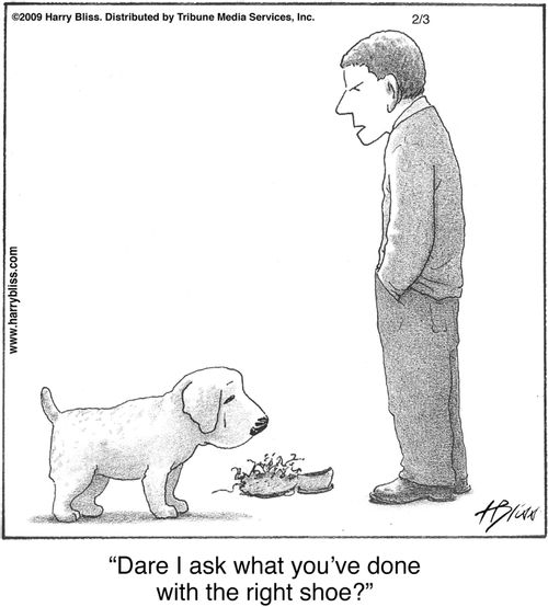 "Dare I ask what you've done with the right shoe?"