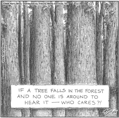 "If a tree falls in the forest and no one is around to hear it — who cares?!"