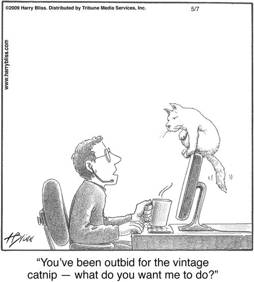 "You’ve been outbid for the vintage catnip — what do you want me to do?"