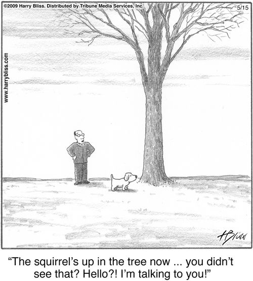"The squirrel’s up in the tree now … you didn’t see that? Hello?! I’m talking to you!"