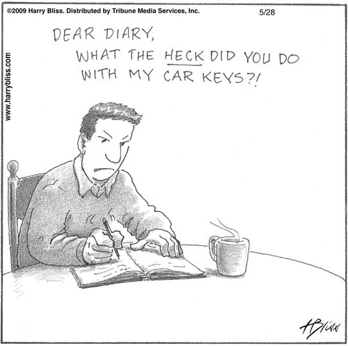 "Dear diary, what the heck did you do with my car keys?!"