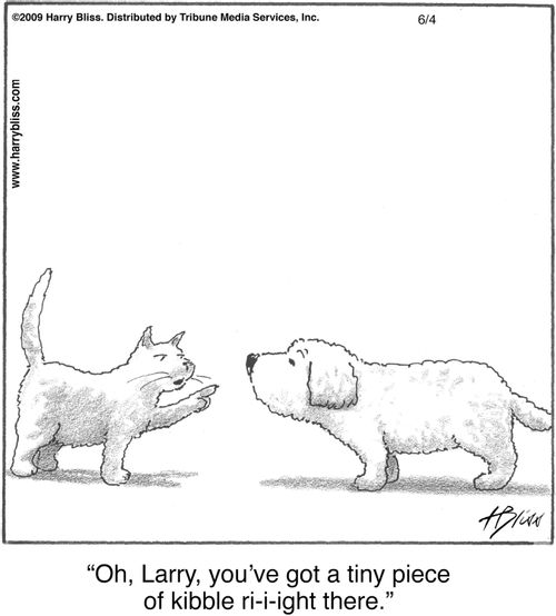 "Oh, Larry, you’ve got a tiny piece of kibble ri-i-ight there."