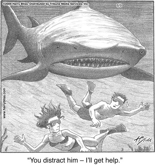 "You distract him — I'll get help."