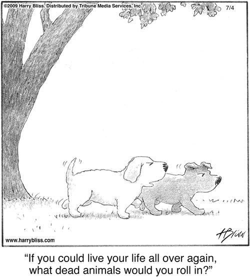 "If you could live your life all over again, what dead animals would you roll in?"