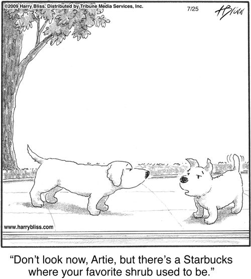 "Don’t look now, Artie, but there’s a Starbucks where your favorite shrub used to be."