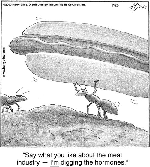"Say what you like about the meat industry — I’m digging the hormones."