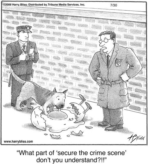 "What part of ‘secure the crime scene’ don’t you understand?!!"