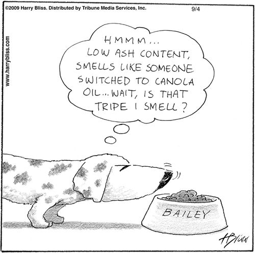 "Hmmm... low ash content. Smells like someone switched to canola oil... wait, is that tripe I smell?"