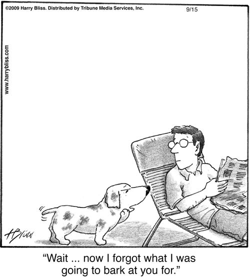 "Wait ... now I forgot what I was going to bark at you for."