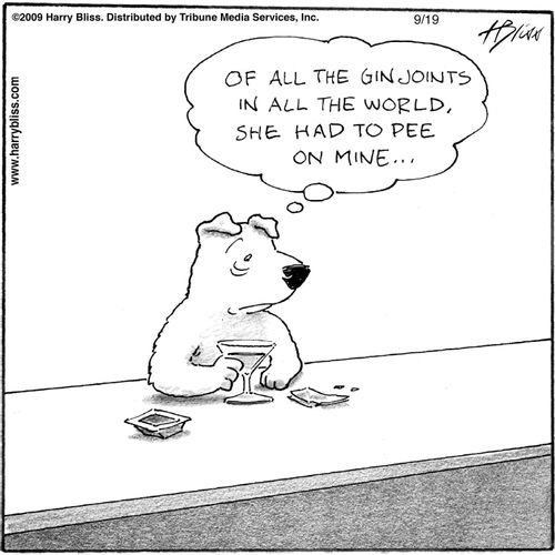 "Of all the gin joints in all the world, she had to pee on mine..."